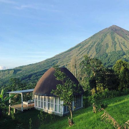 Hotel Manulalu Jungle Bajawa Exterior foto