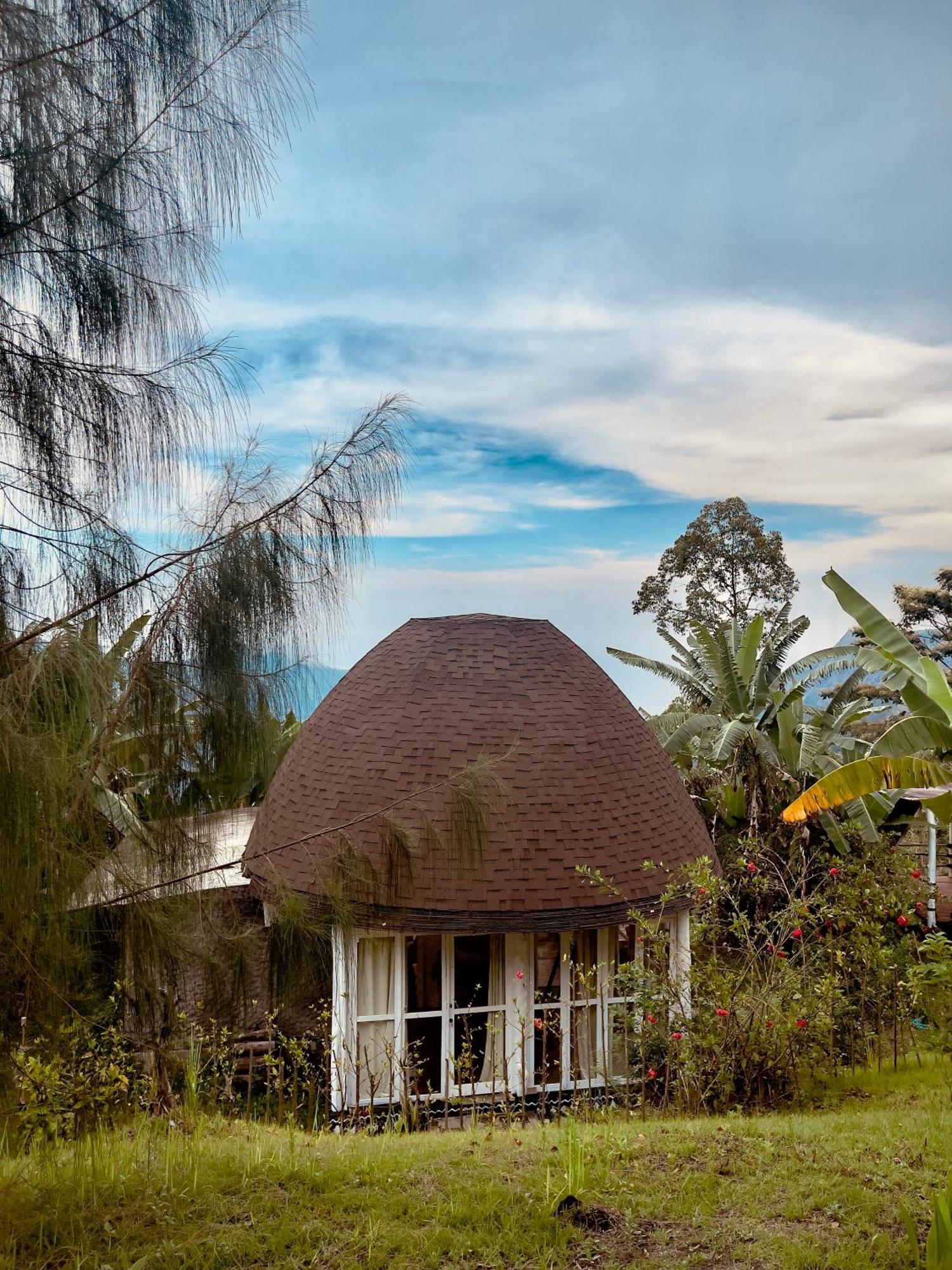 Hotel Manulalu Jungle Bajawa Exterior foto