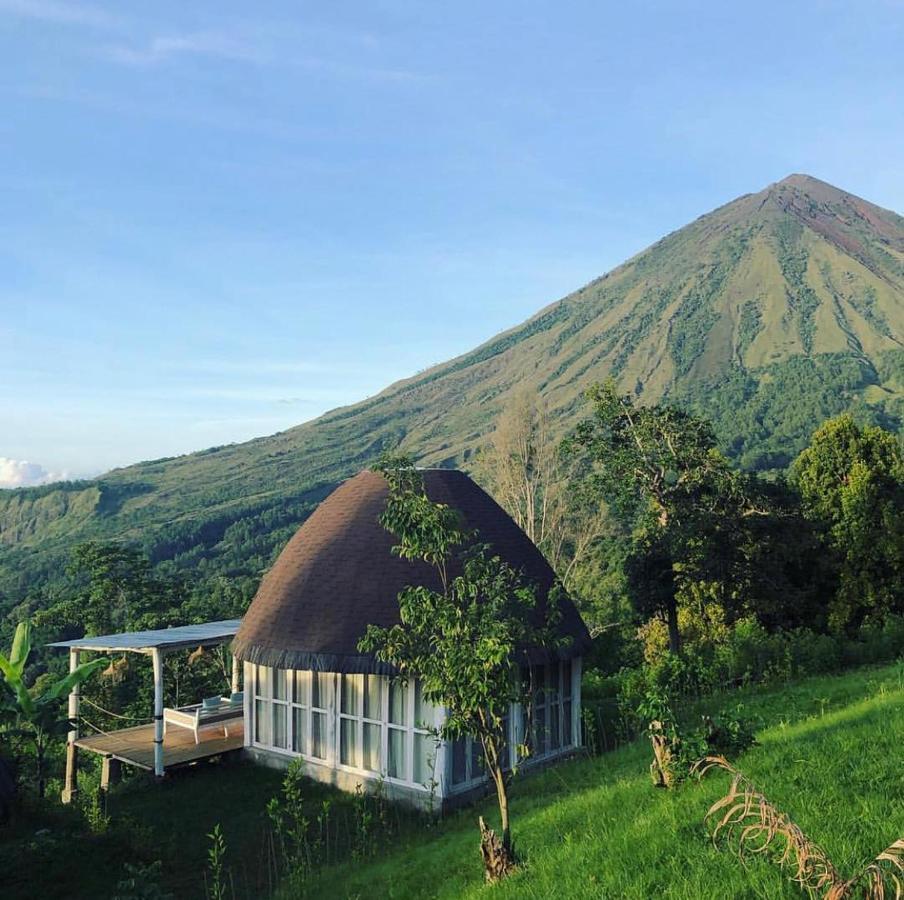 Hotel Manulalu Jungle Bajawa Exterior foto
